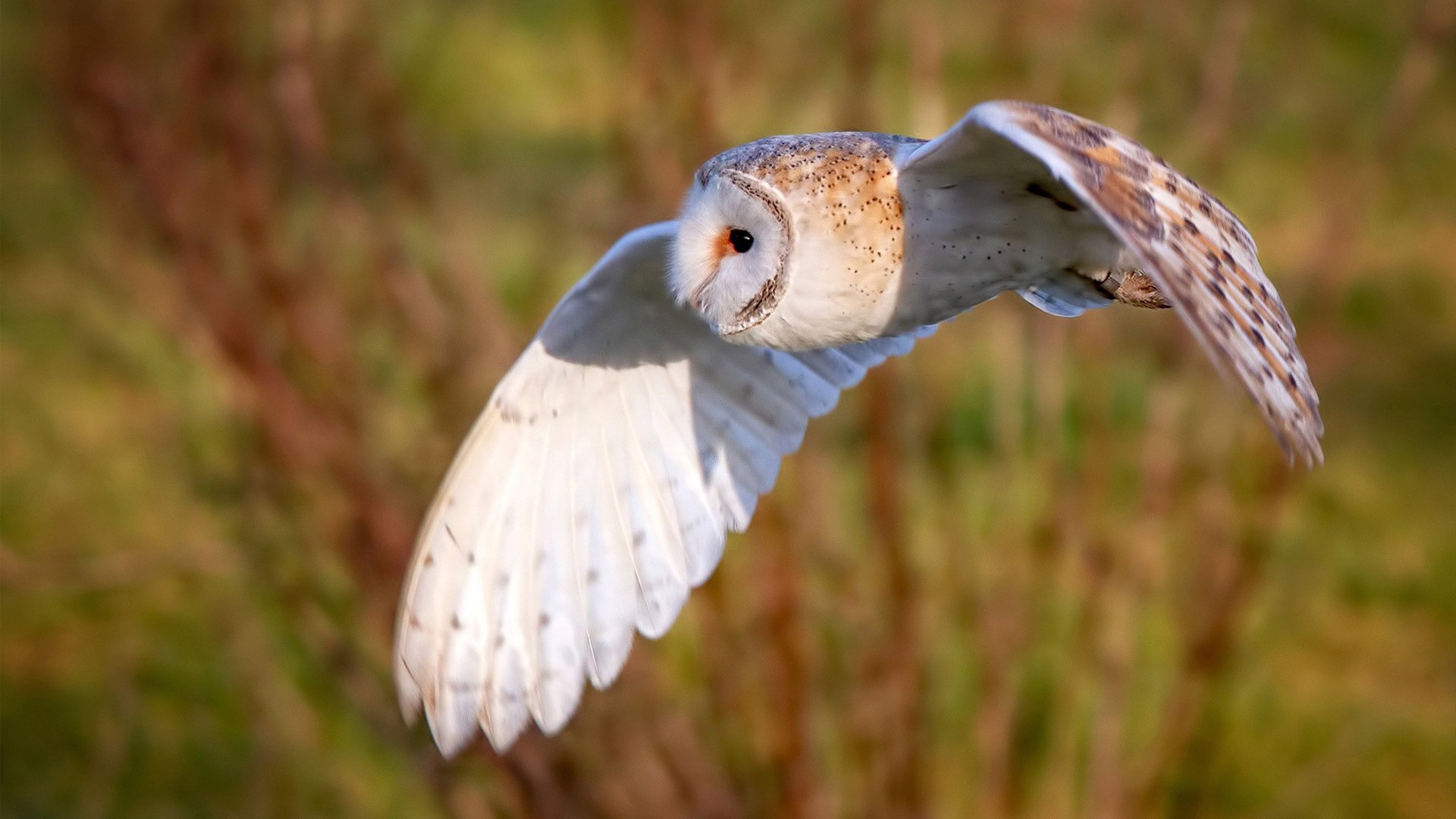 节奏之巅，热火用窒息节奏改写年度焦点战的定义