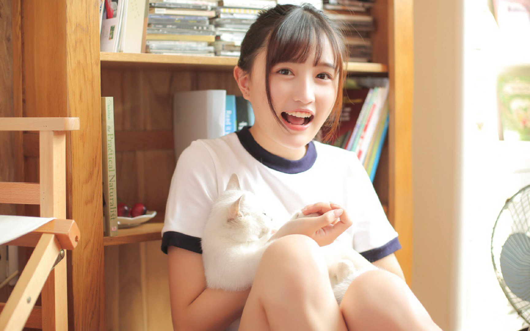 王者降临之夜，当福克斯于抢七战场上，将猛龙与雷霆一齐驯服