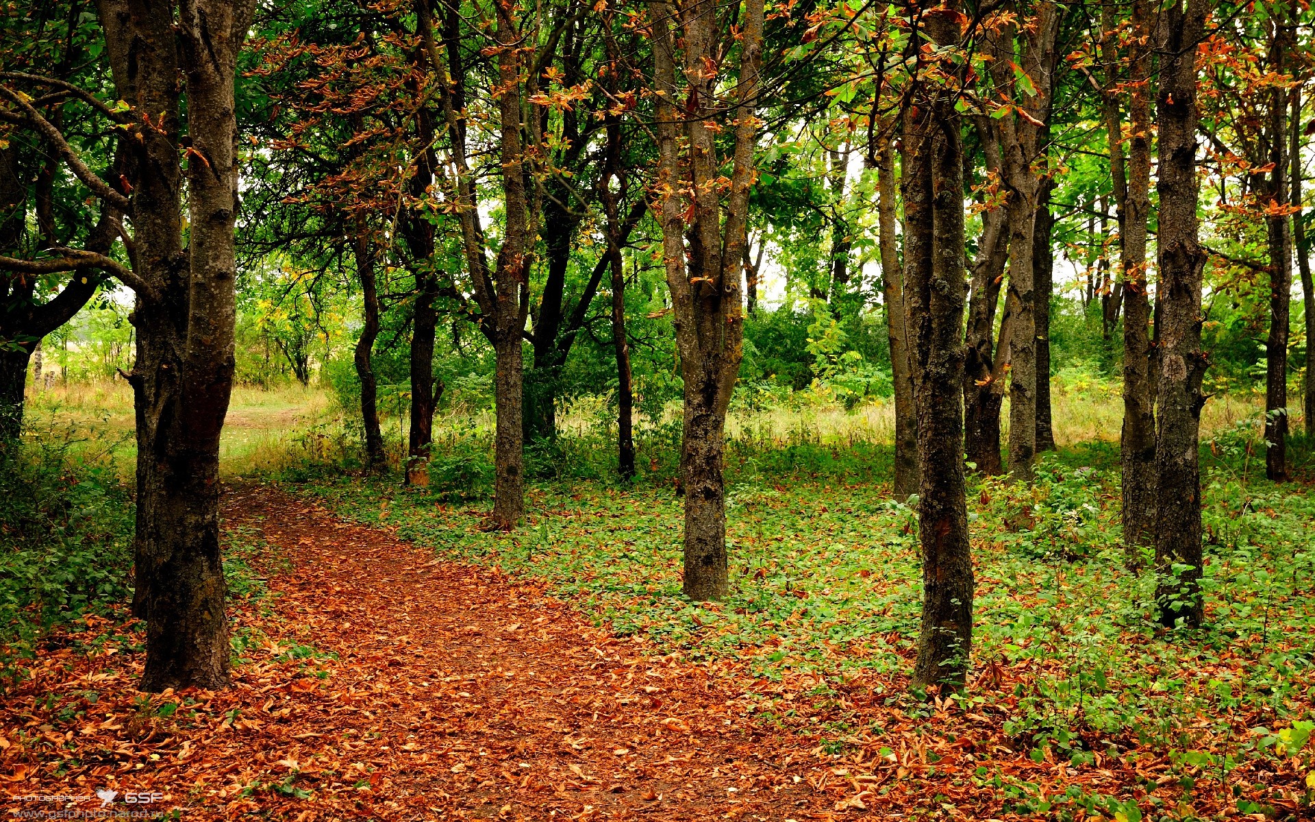 非洲节奏击碎瑞士钟表，坎特最后一舞铸就加纳史诗逆转