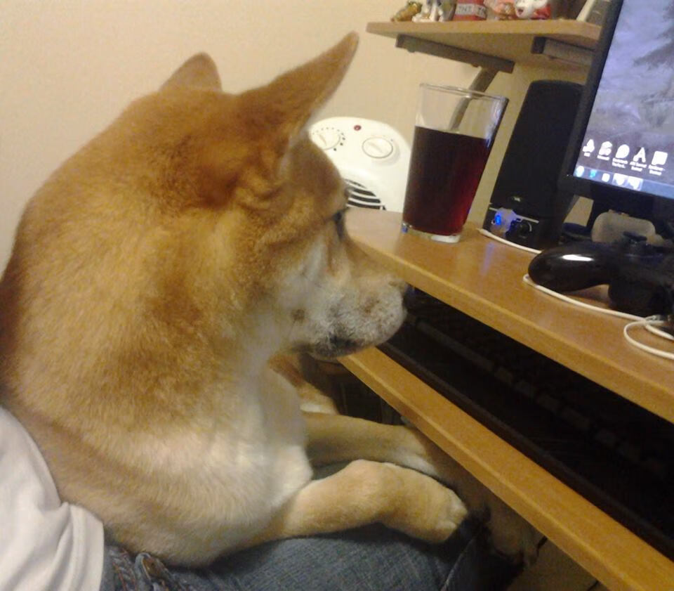 烈火烹油！热火全员皆兵压制爵士，文班亚马无解表现诠释何为未来